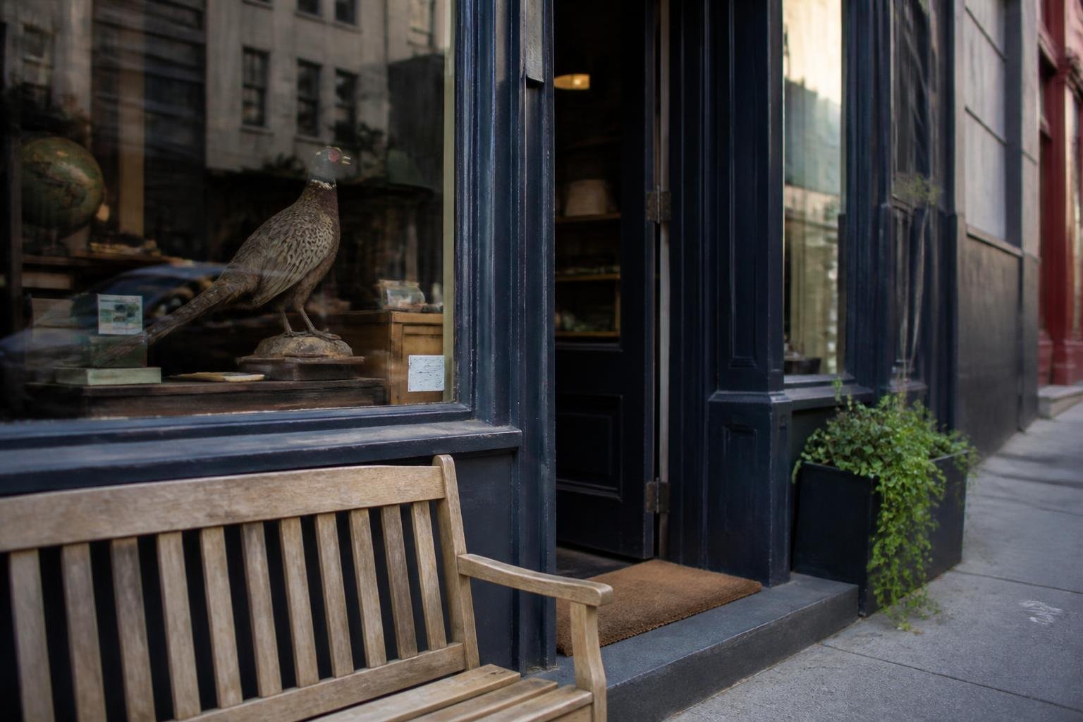 Culture commentator criticizes Clarkson over Brooklyn shop account