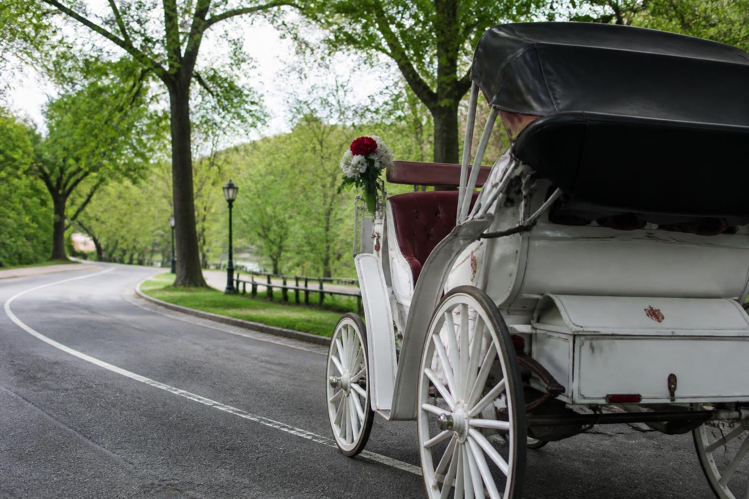 NYC Council expected to vote Thursday on Central Park carriage ban