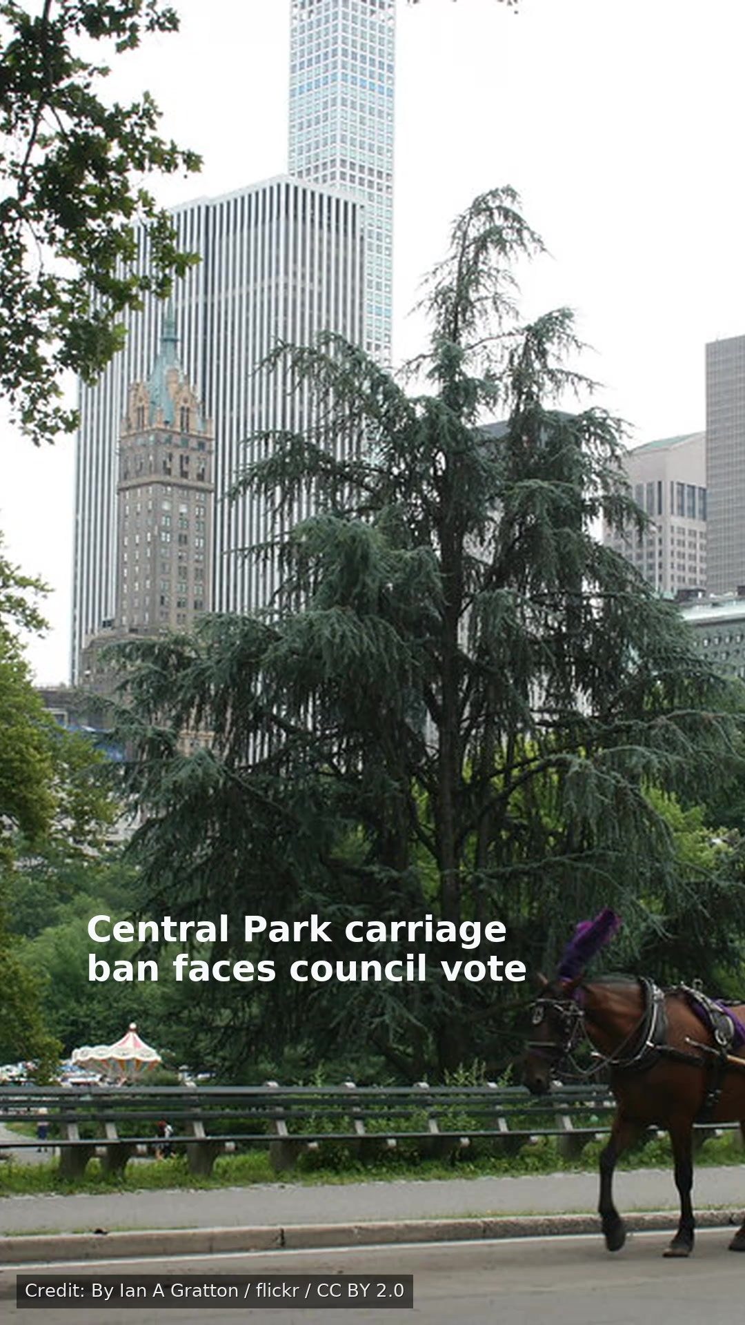 Central Park carriage ban faces council vote