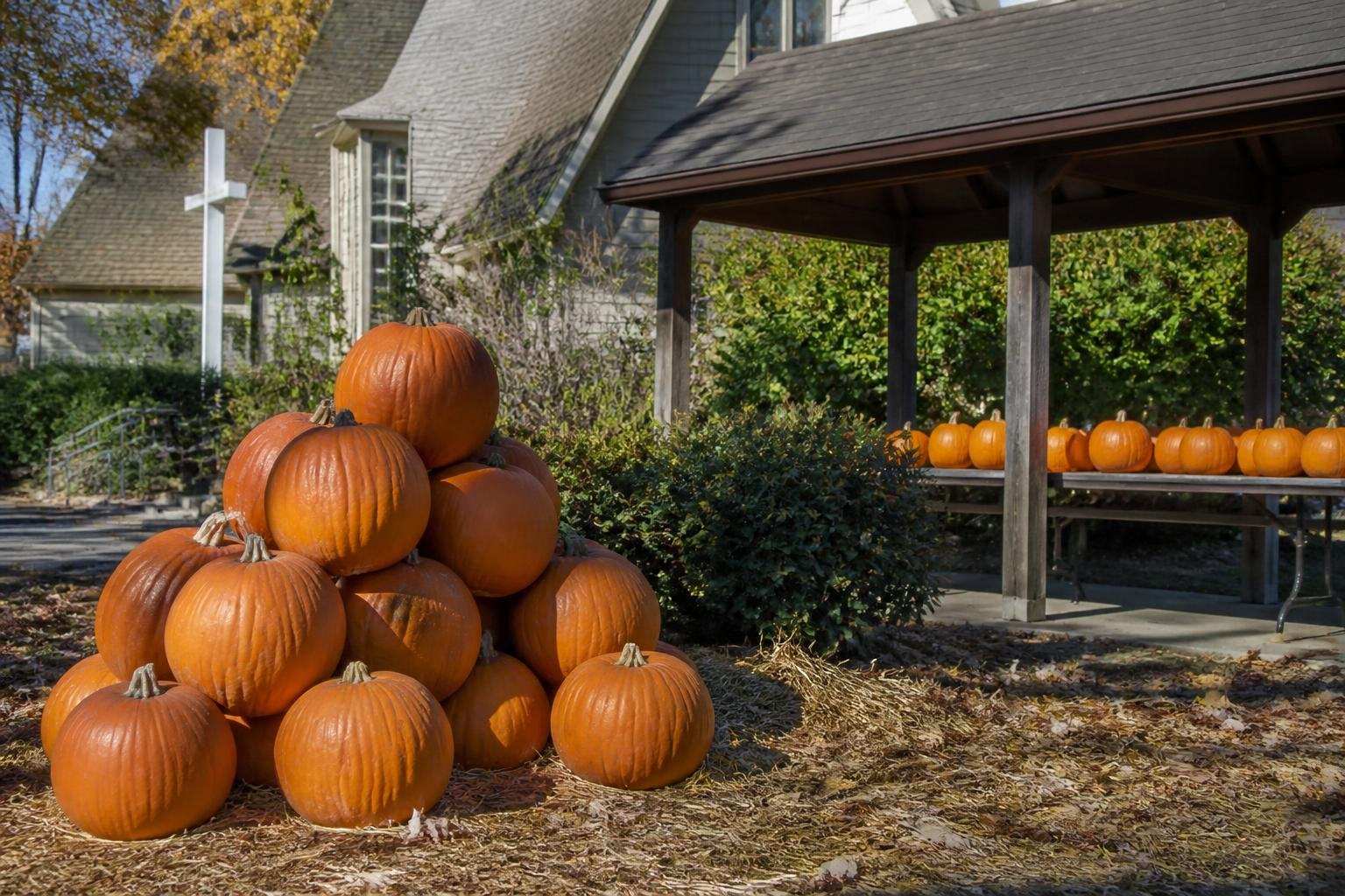Fauntleroy Fall Festival changes layout for 2026 event