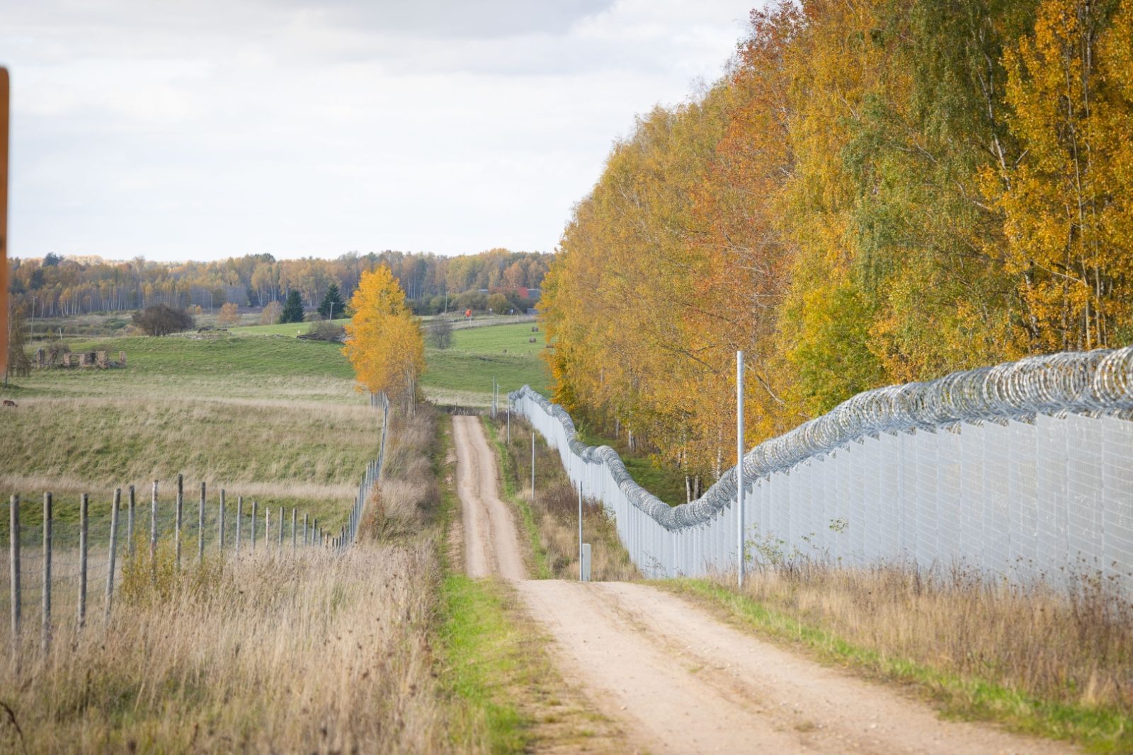 Polijas robežsargi sniegs atbalstu Latvijas-Baltkrievijas robežas uzraudzībā