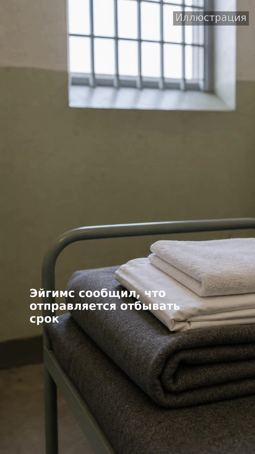 Эйгимс сообщил, что отправляется отбывать срок