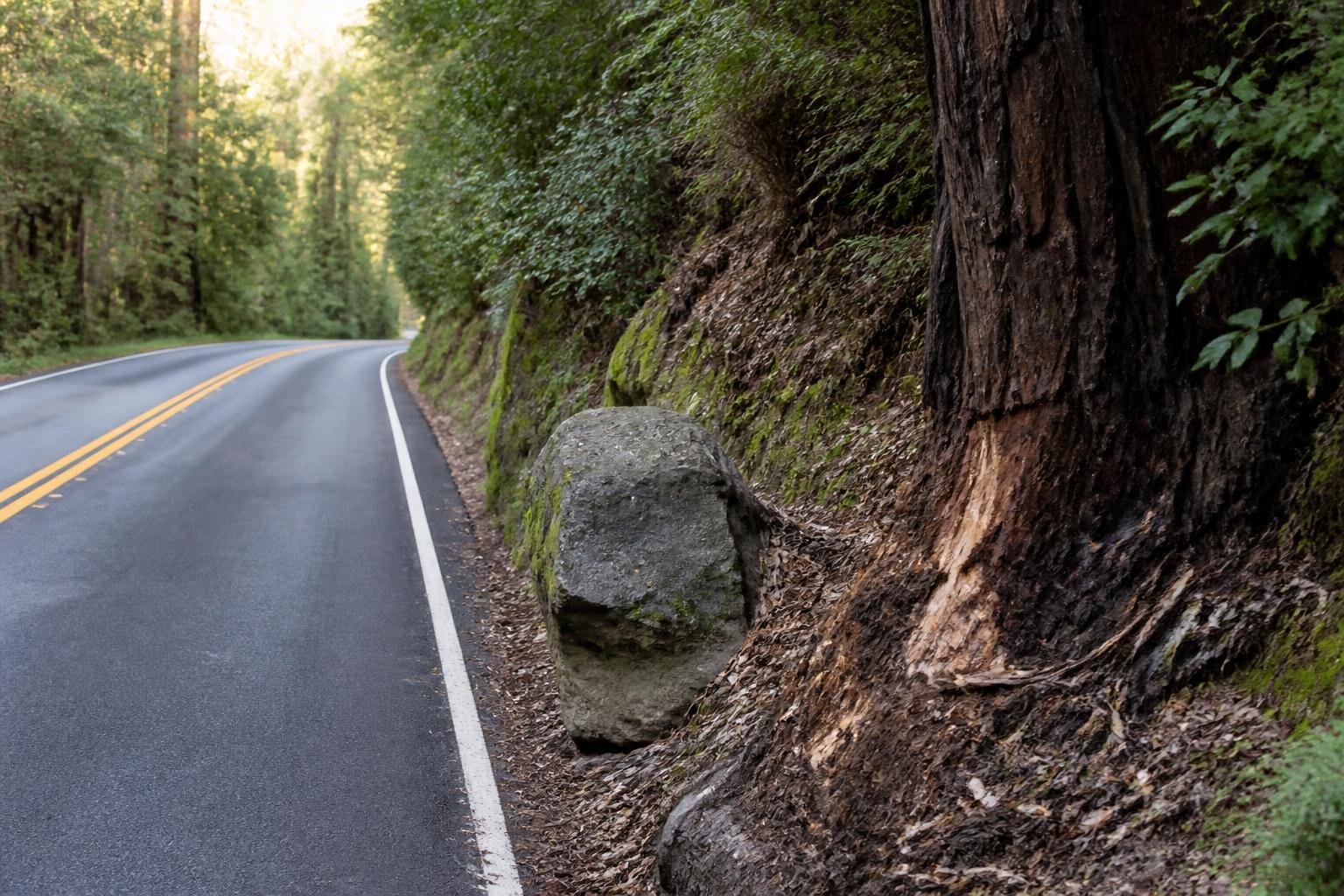 Driver killed, two injured in fiery Highway 116 crash near Guerneville