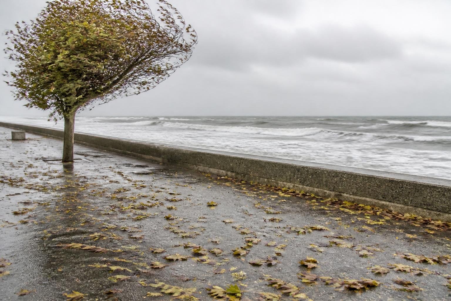 Belgique : des rafales jusqu’à 100 km/h attendues vendredi sur le littoral