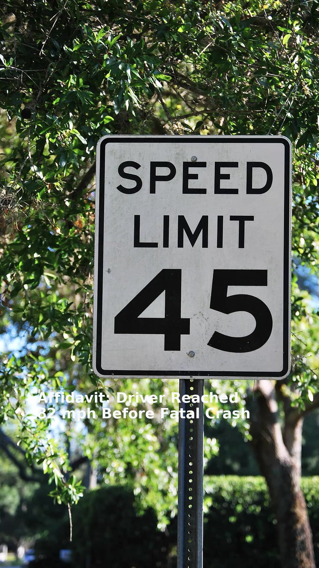 Affidavit: Driver Reached 82 mph Before Fatal Crash