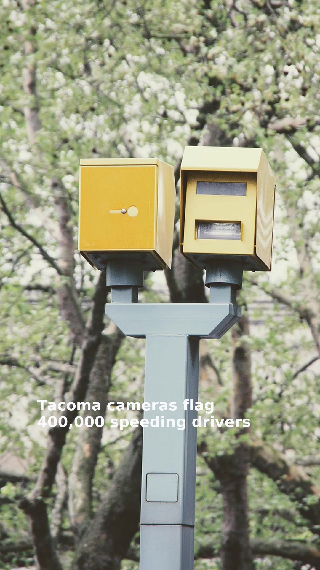 Tacoma cameras flag 400,000 speeding drivers