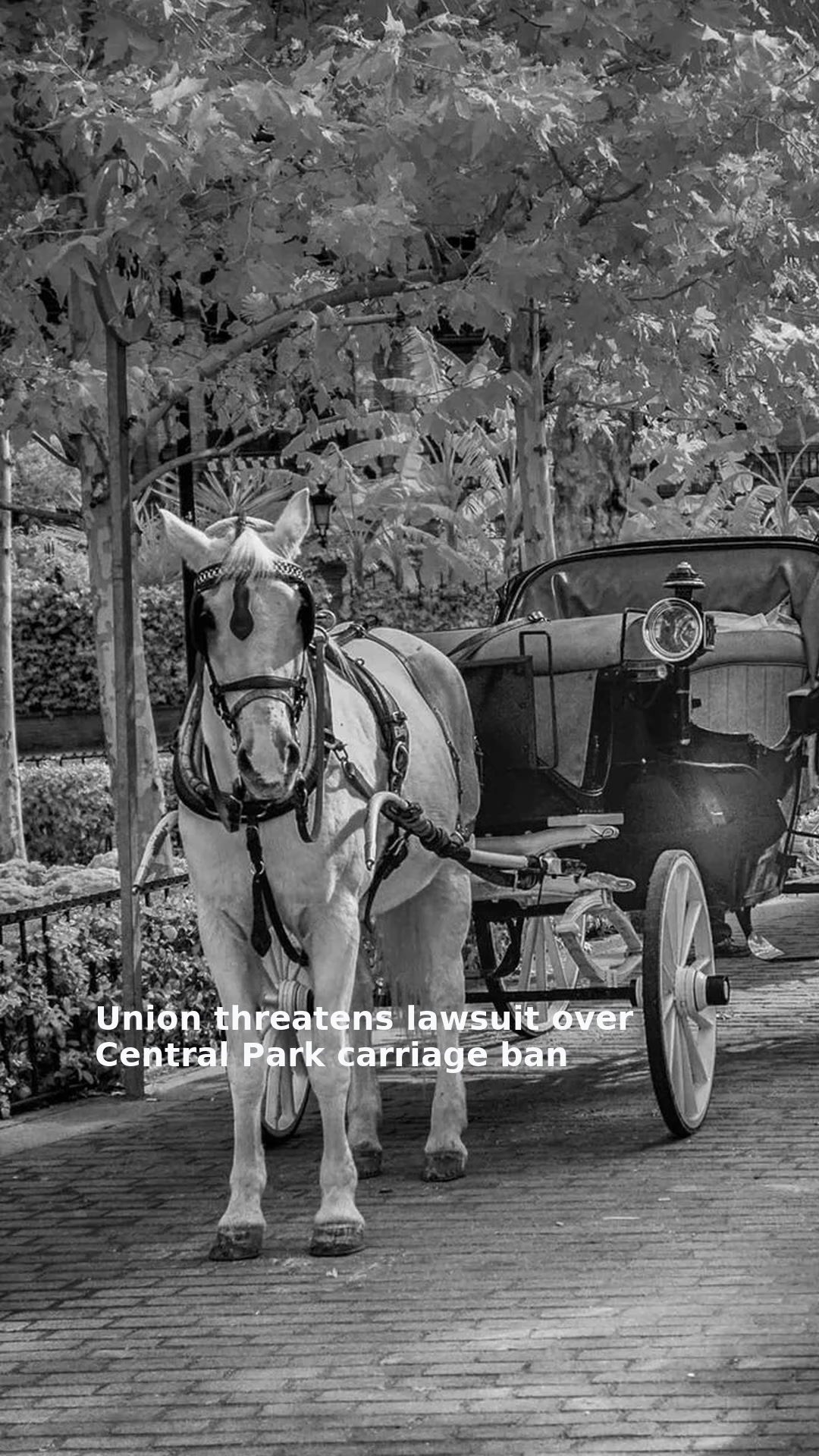 Union threatens lawsuit over Central Park carriage ban
