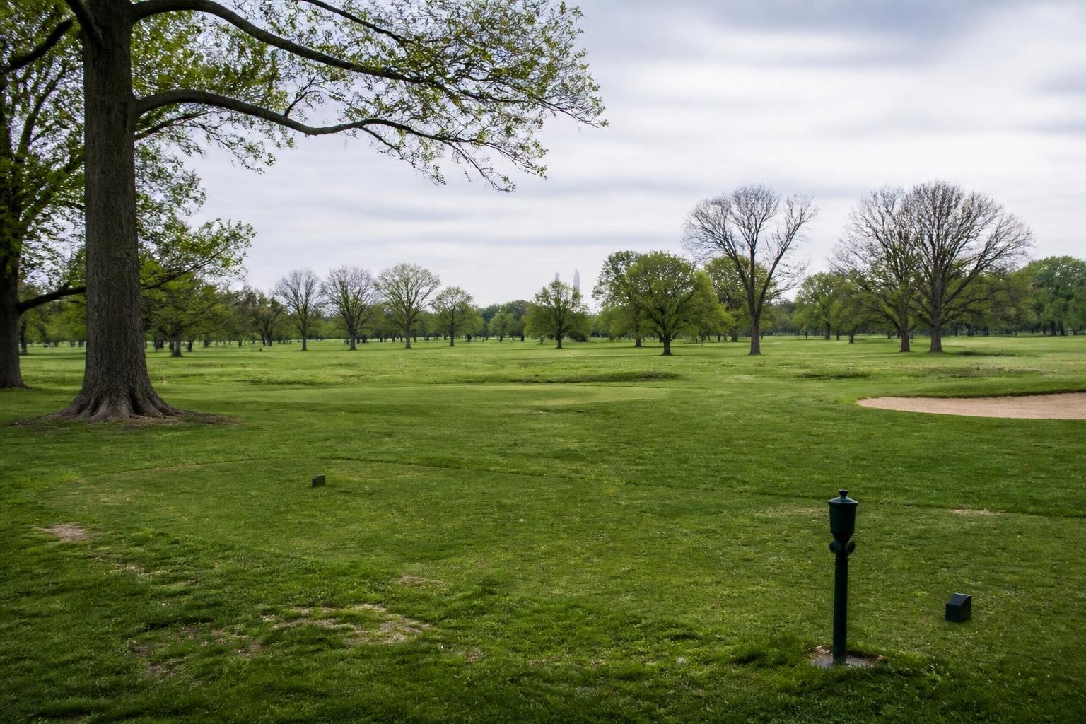 Up to 529 trees could be cut at D.C. golf course Trump wants to remake