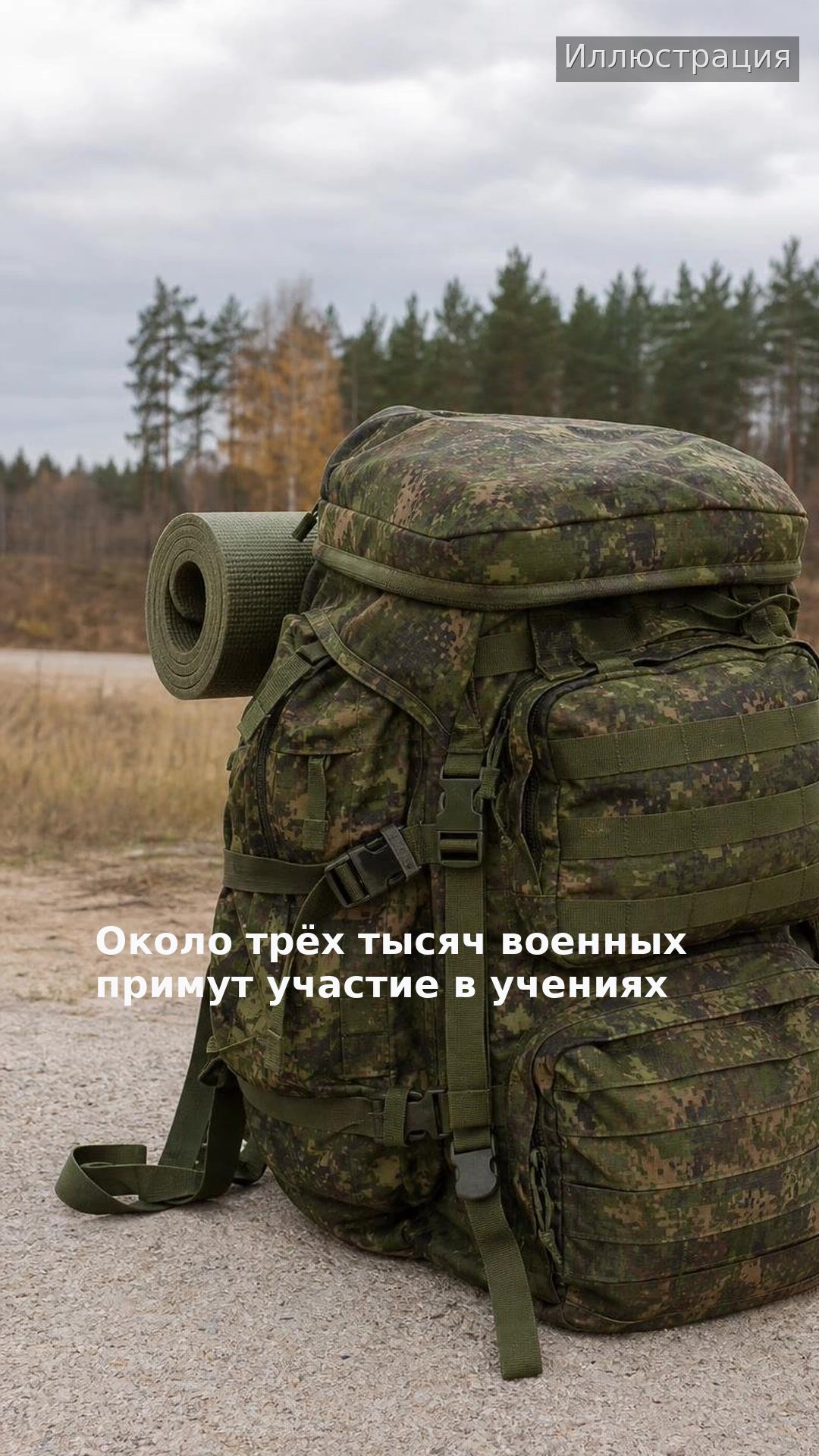 Около трёх тысяч военных примут участие в учениях