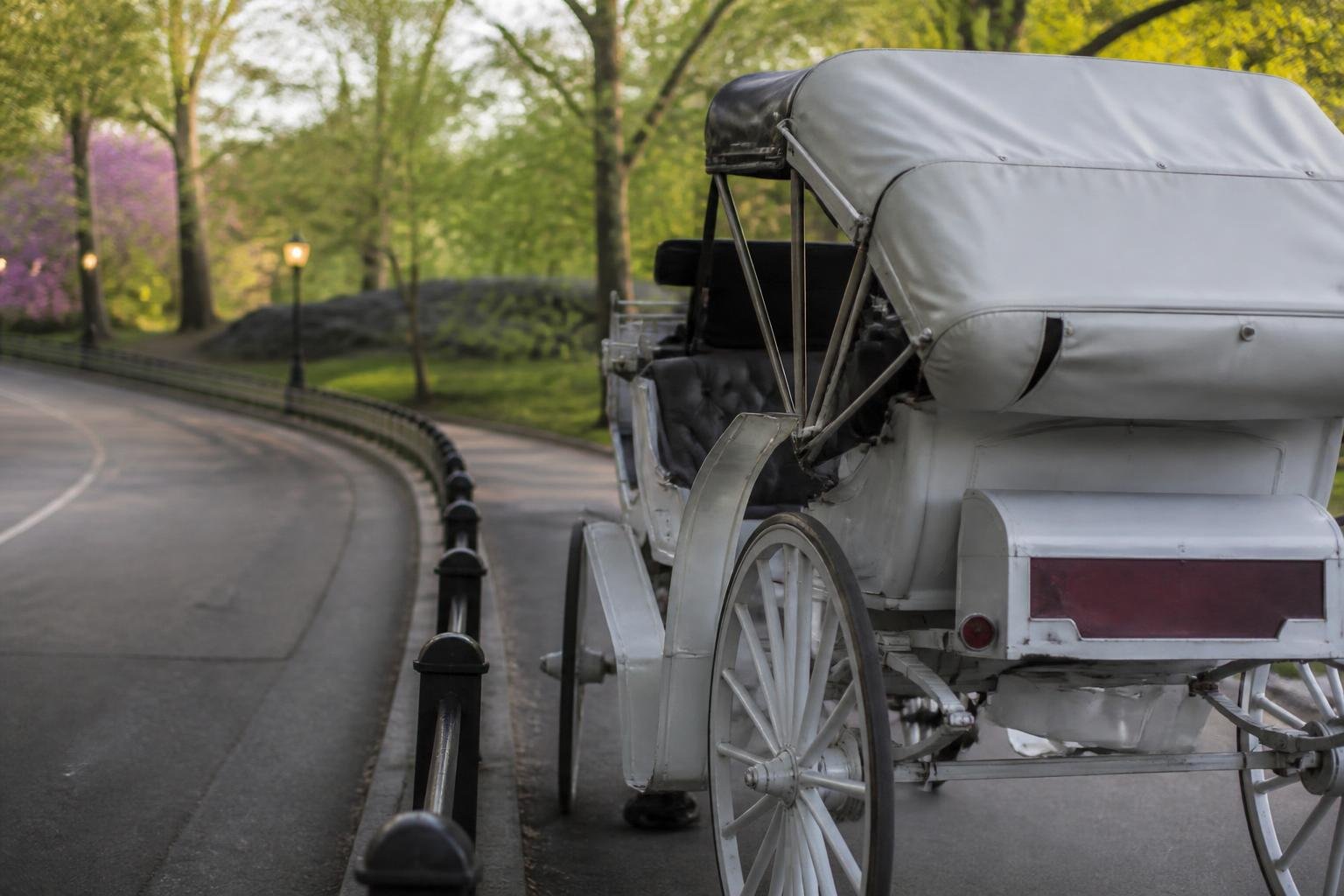 New York horse-carriage ban appears likely, but workers’ future remains unclear