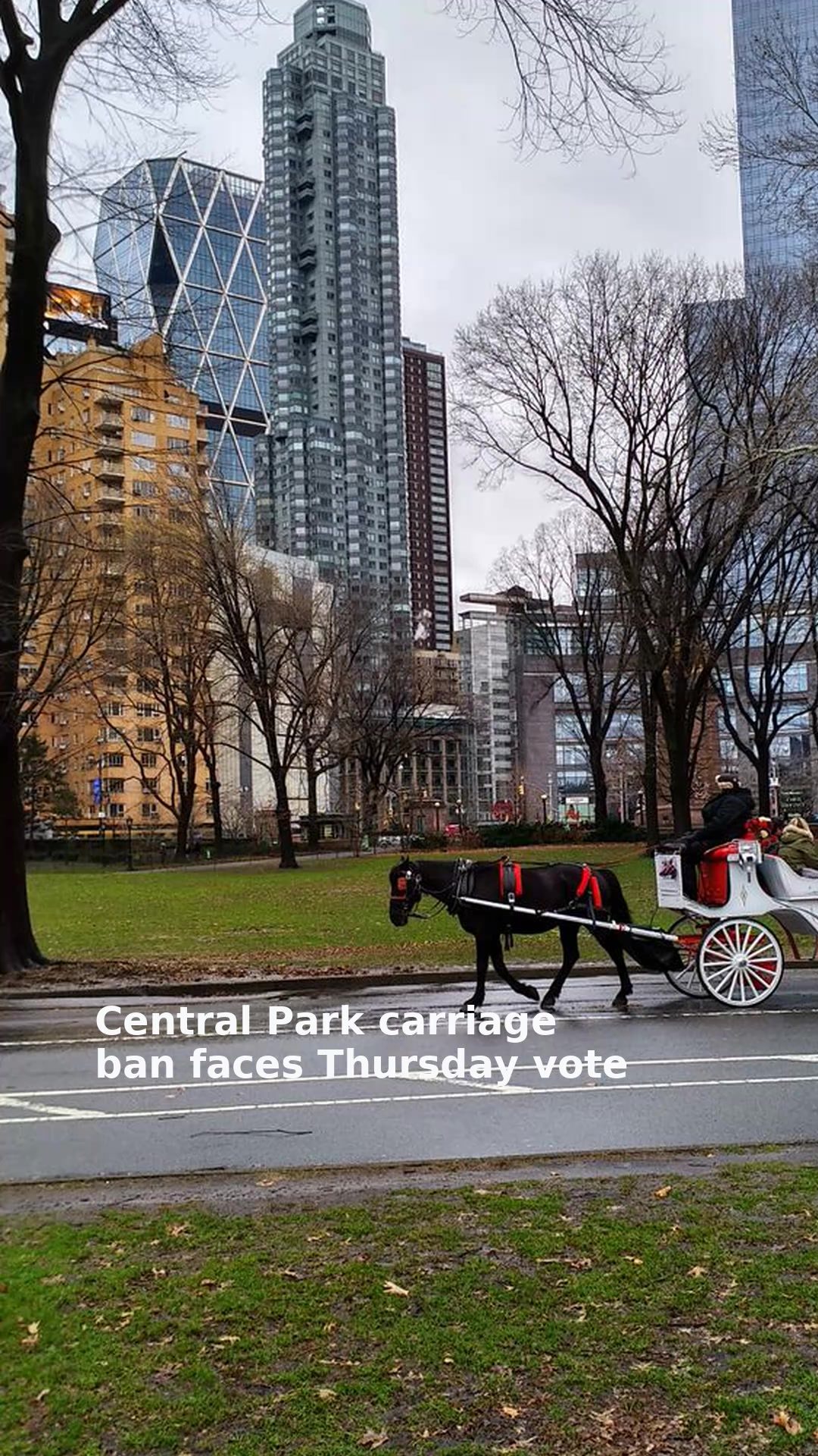 Central Park carriage ban faces Thursday vote