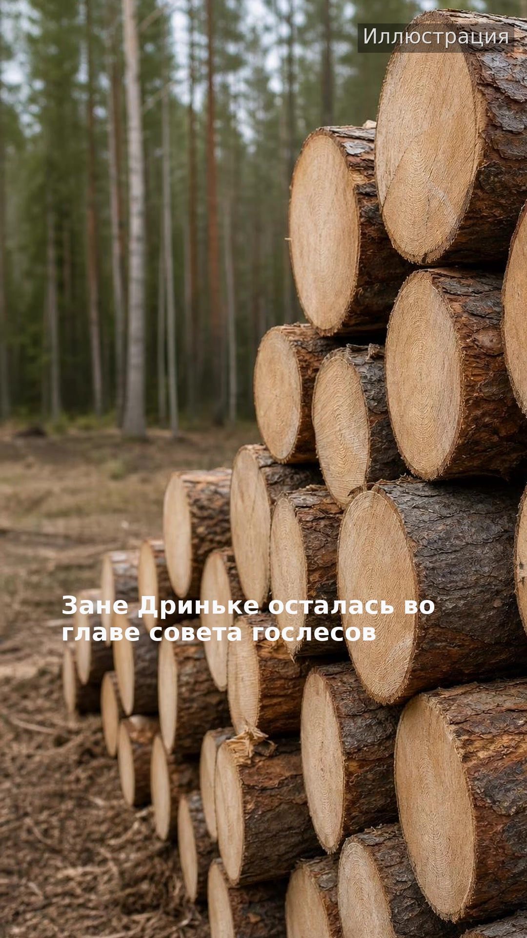 Зане Дриньке осталась во главе совета гослесов