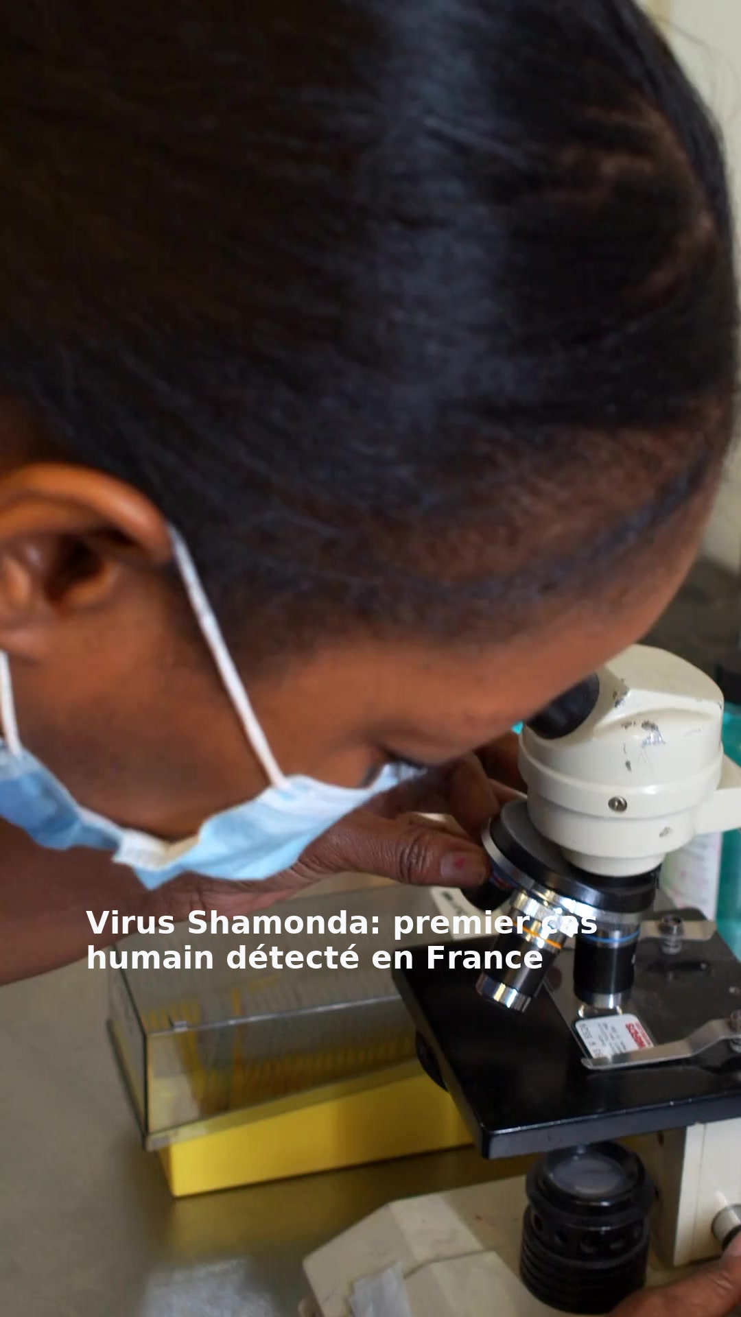 Virus Shamonda: premier cas humain détecté en France