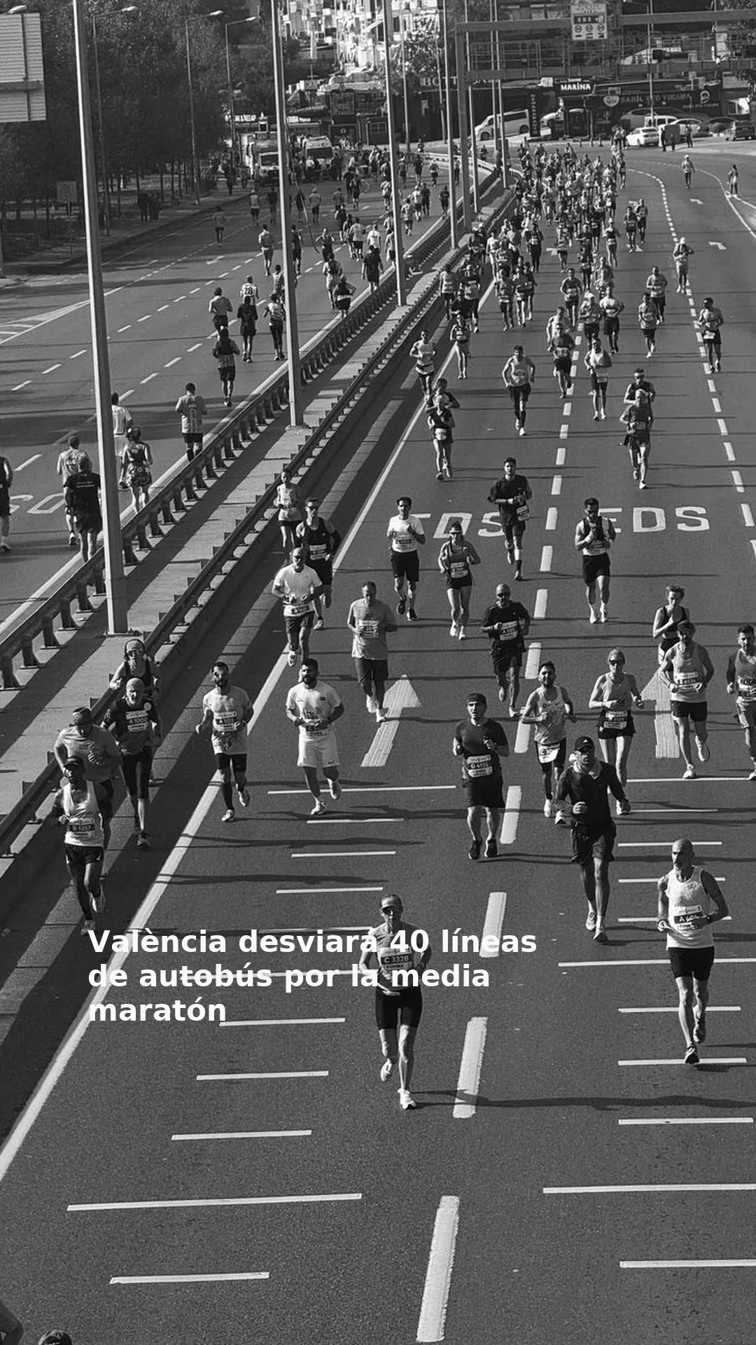 València desviará 40 líneas de autobús por la media maratón