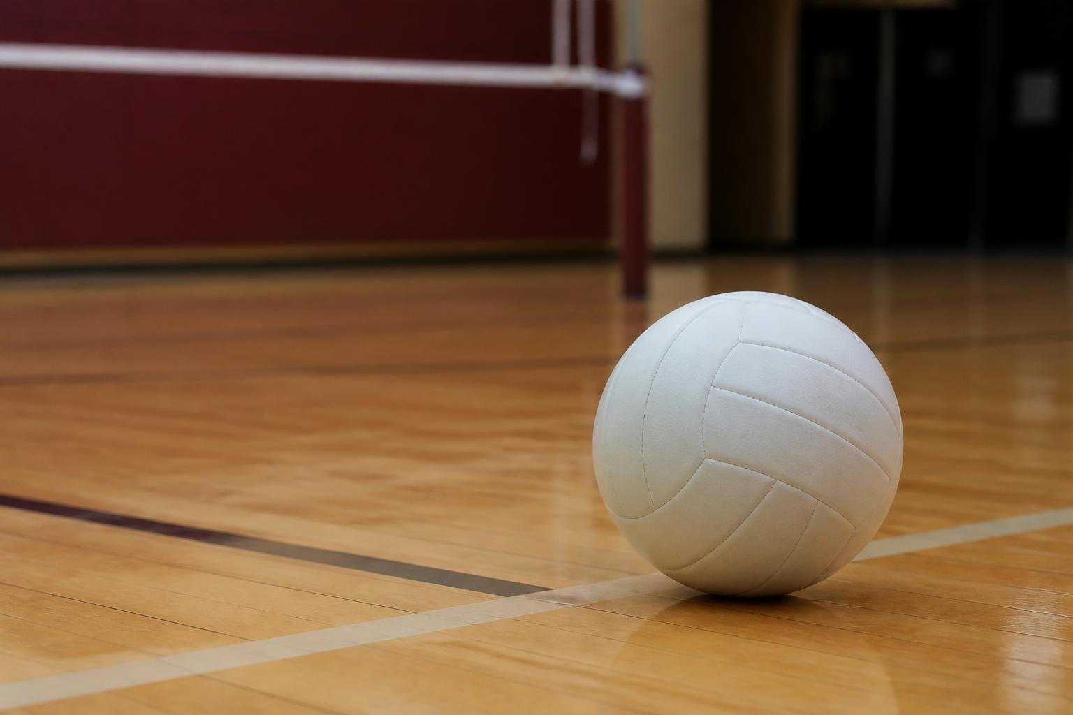 Elon volleyball defeats Northeastern in four sets Elon volleyball defeats Northeastern in four sets