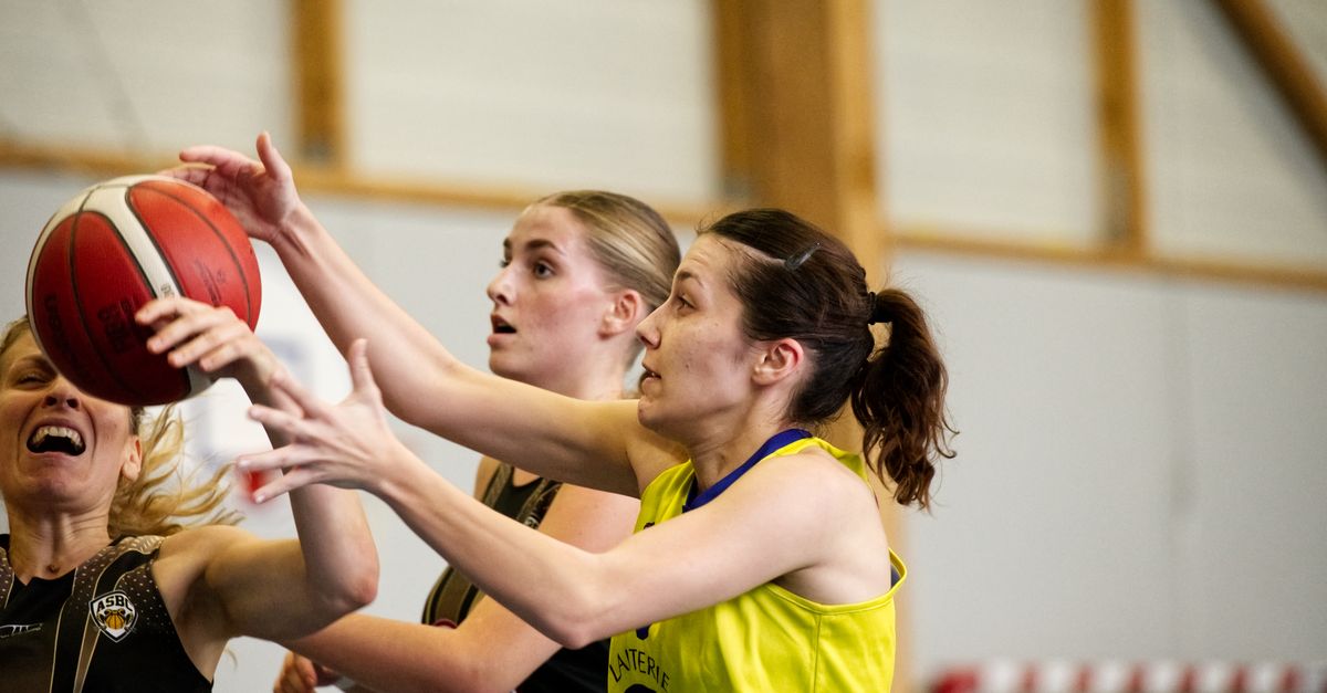 Basket-ball : le programme complet du 23 octobre, NBA et Euroligue au rendez-vous