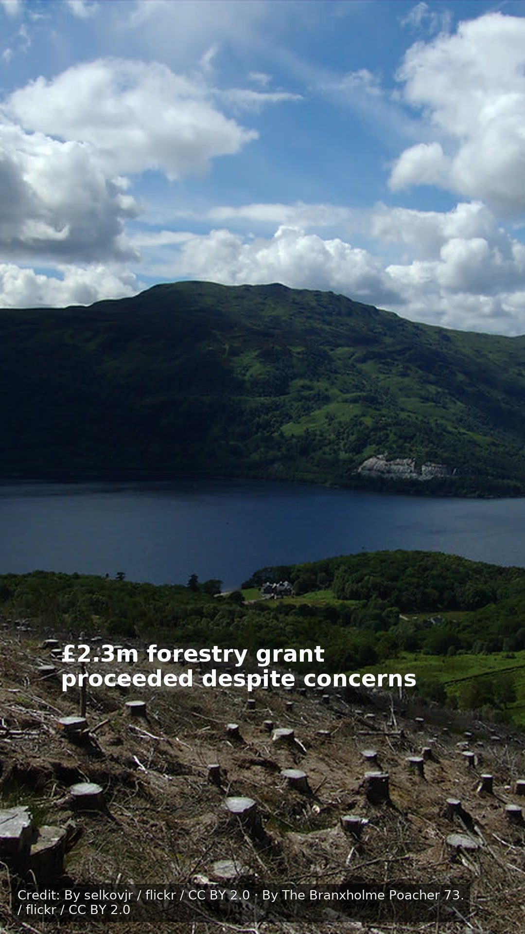 £2.3m forestry grant proceeded despite concerns