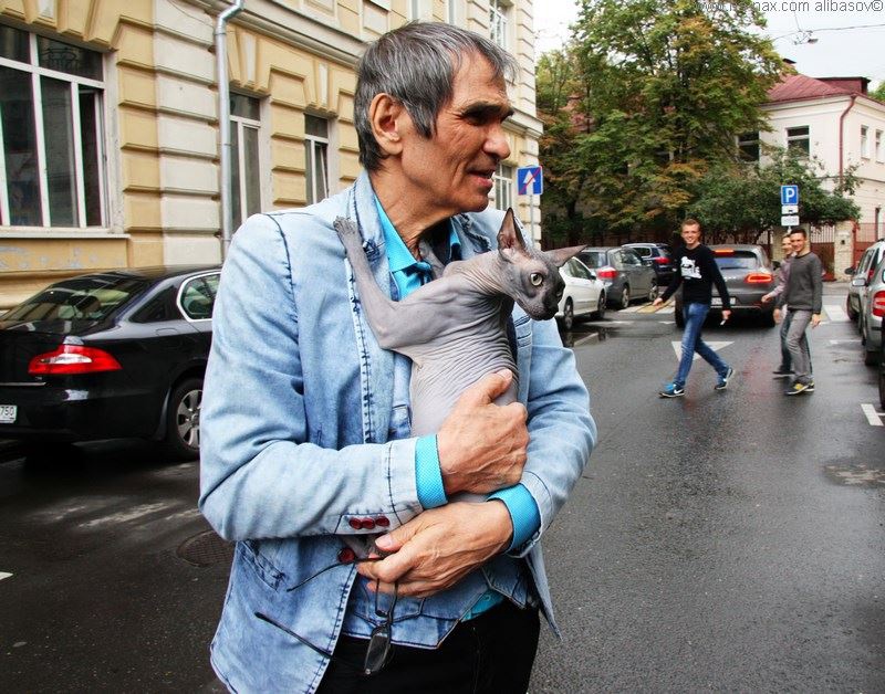 Алибасов и Федосеева-Шукшина разводятся Алибасов и Федосеева-Шукшина разводятся