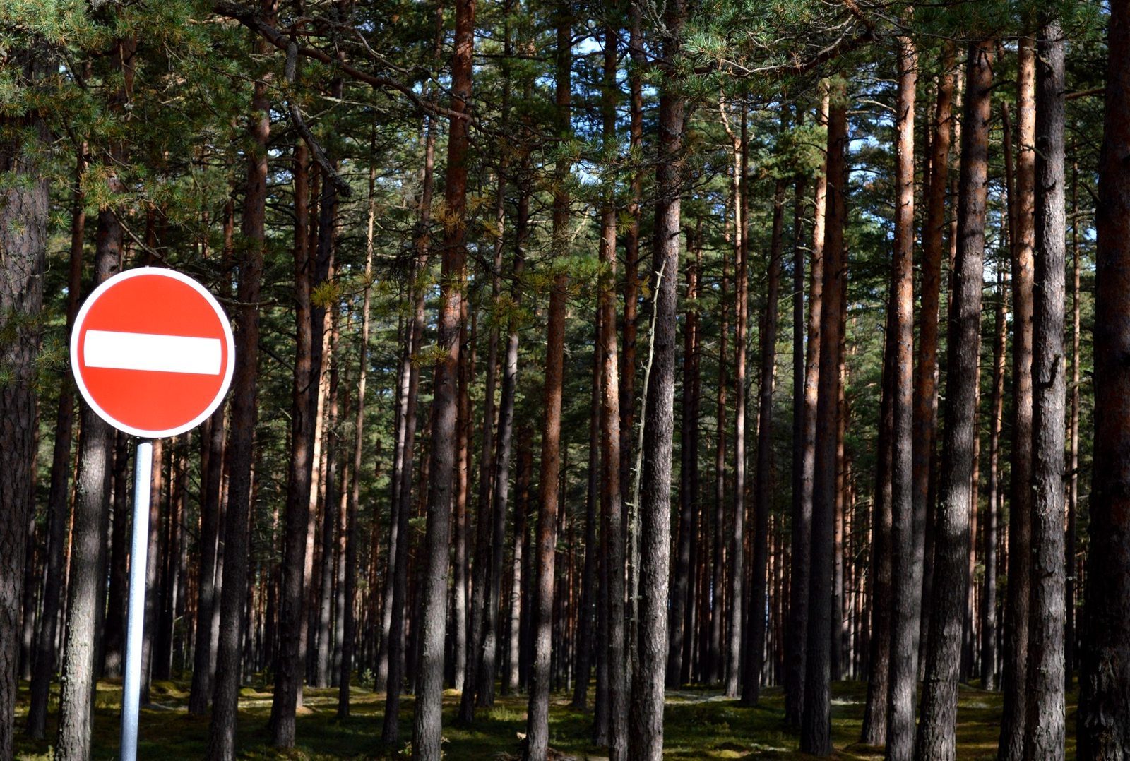 Baltkrievija "melnajā sarakstā" iekļauj virkni Baltijas valstu amatpersonu Baltkrievija "melnajā sarakstā" iekļauj virkni Baltijas valstu amatpersonu