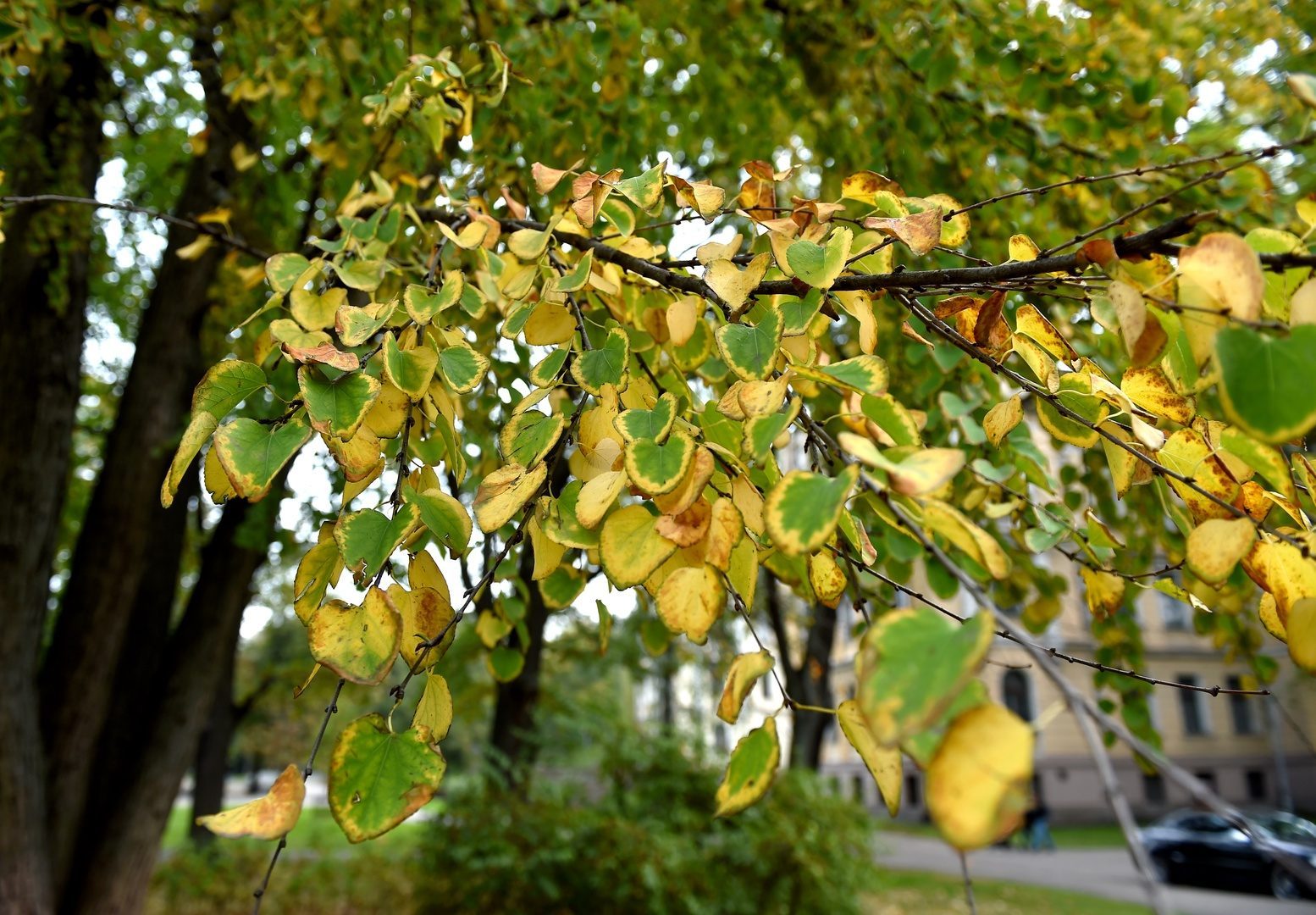 Nākamās nedēļas otrajā pusē laiks kļūs siltāks Nākamās nedēļas otrajā pusē laiks kļūs siltāks