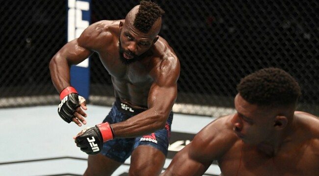 Посмотрите возможно самый эффектный нокаут в истории UFC Посмотрите возможно самый эффектный нокаут в истории UFC