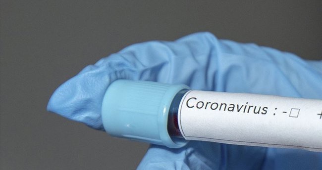 Covid-19: Польша - больницы в поле, Словения - сами ищите контактные лица Covid-19: Польша - больницы в поле, Словения - сами ищите контактные лица