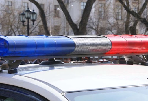 Соратника покончившего с собой Тесака нашли мертвым в лесу Соратника покончившего с собой Тесака нашли мертвым в лесу