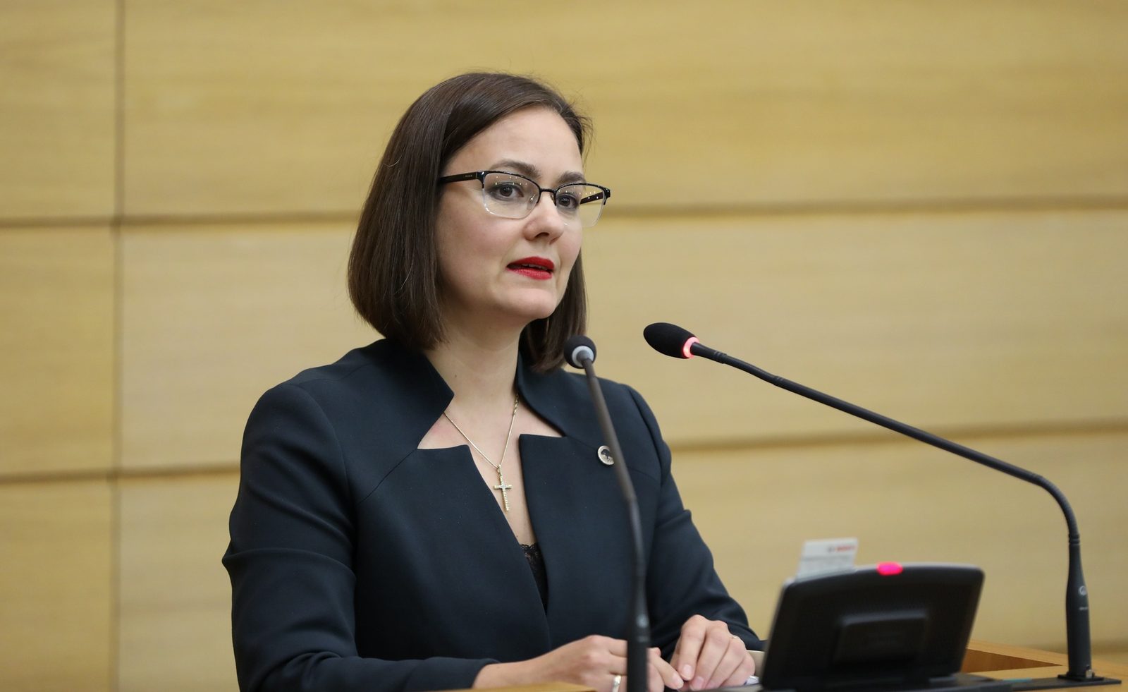 Вице-мэр Риги Озола намерена избавить столицу от азартных игр Вице-мэр Риги Озола намерена избавить столицу от азартных игр