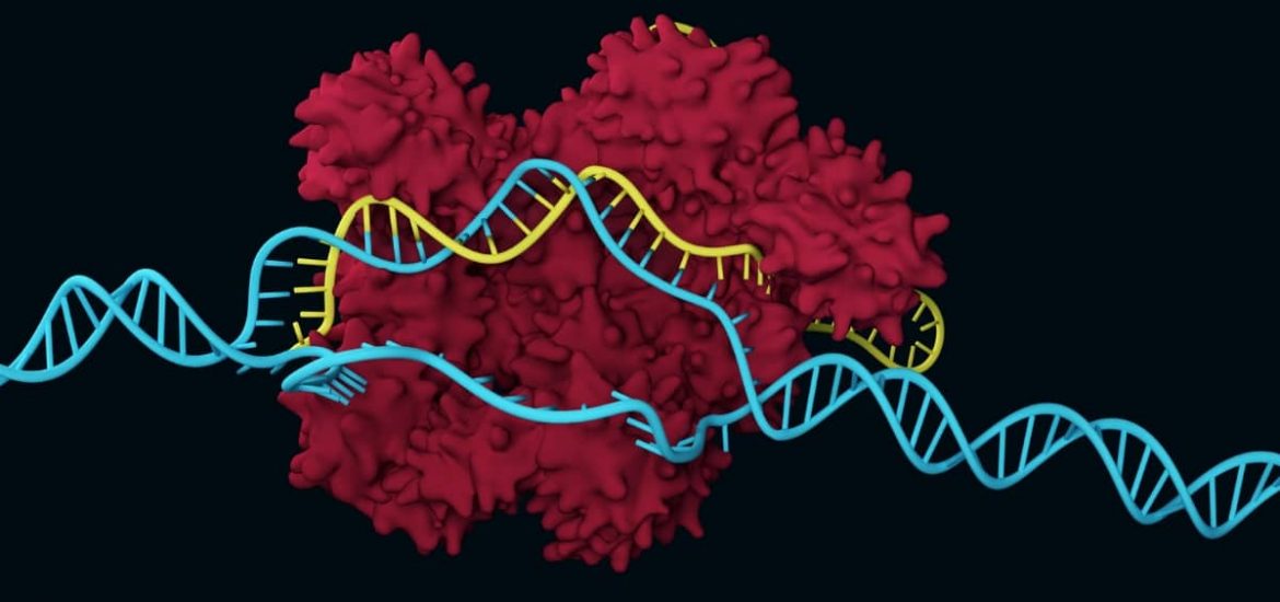 Технология CRISPR-Cas для борьбы с изменением климата Технология CRISPR-Cas для борьбы с изменением климата