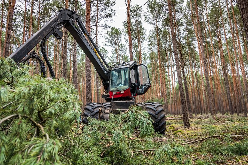 Недостаток рабочей силы - одна из главных проблем лесопереработки