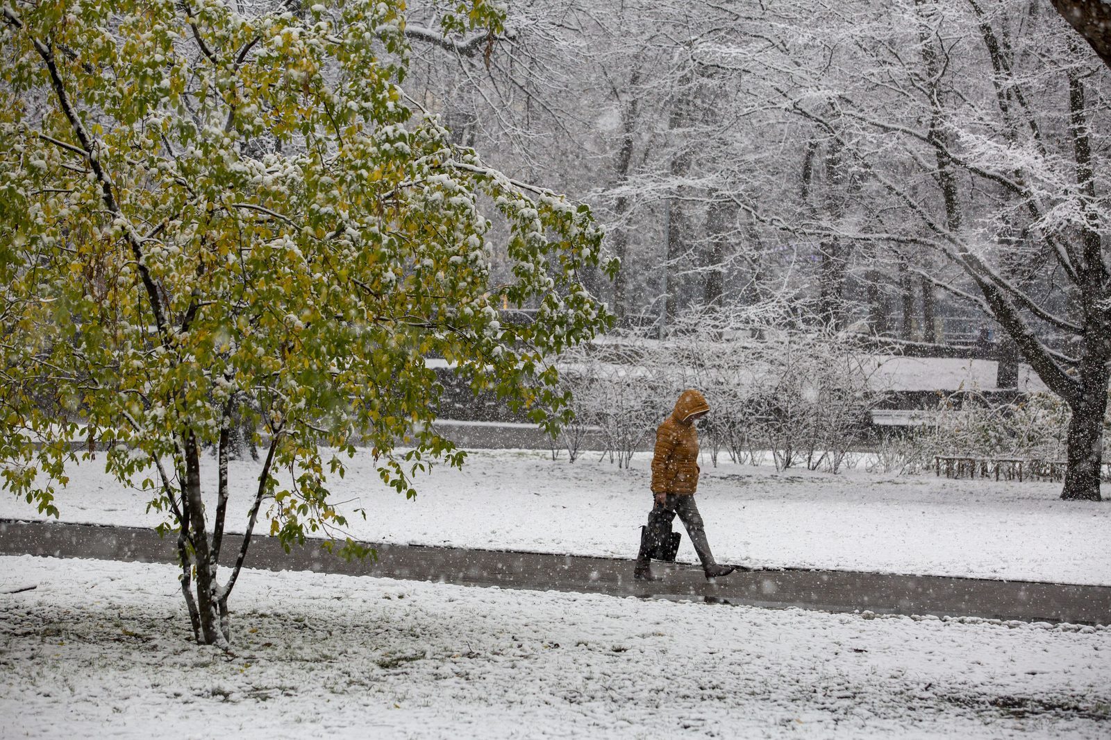Ziemassvētkos un Jaungadā gaisa temperatūra svārstīsies ap nulli Ziemassvētkos un Jaungadā gaisa temperatūra svārstīsies ap nulli