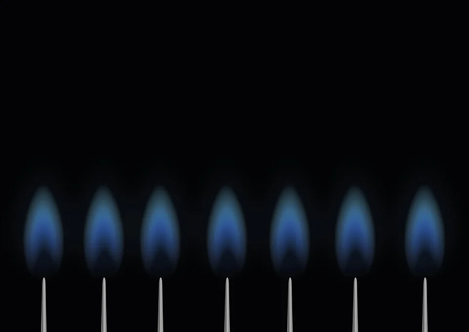 Если Россия не будет поставлять газ? Какой план есть у ЕС