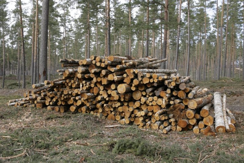 Импорт леса Латвии в 2021 году вырос на 40,9% Импорт леса Латвии в 2021 году вырос на 40,9%