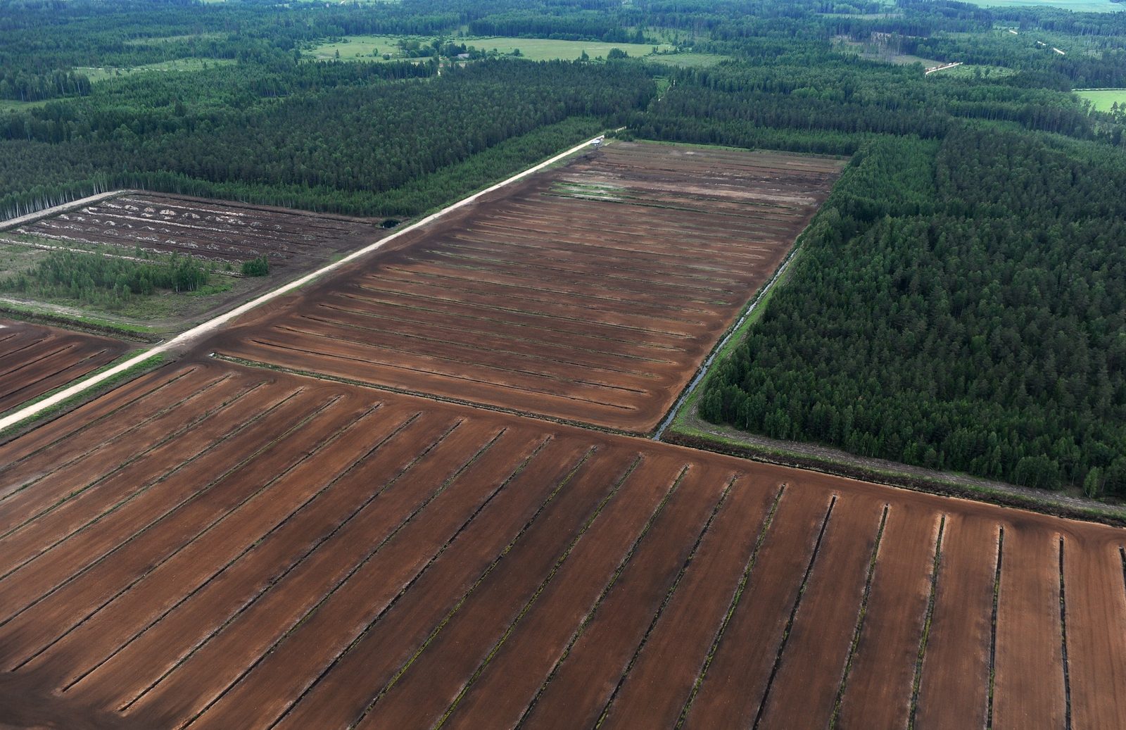 "Līvānu kūdras fabrikas" apgrozījums pērn pieauga par 12,4%