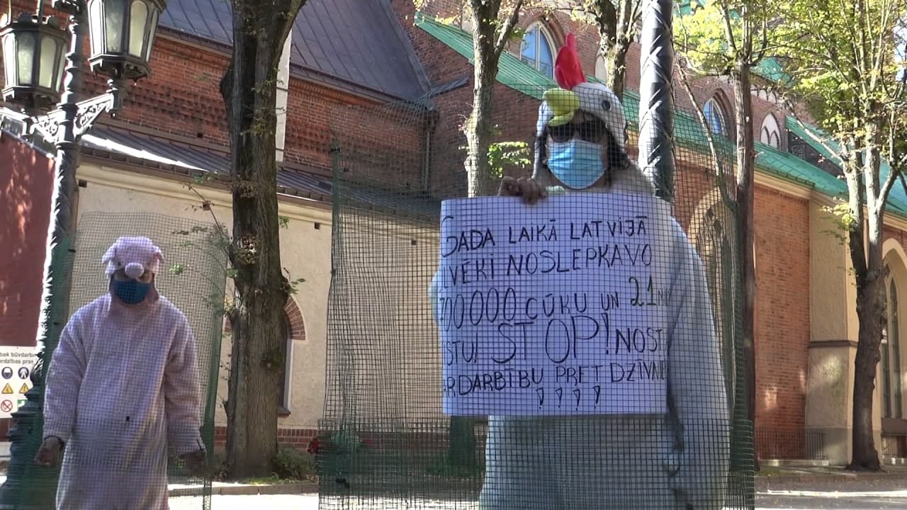 У Сейма начался пикет за защиту животных У Сейма начался пикет за защиту животных