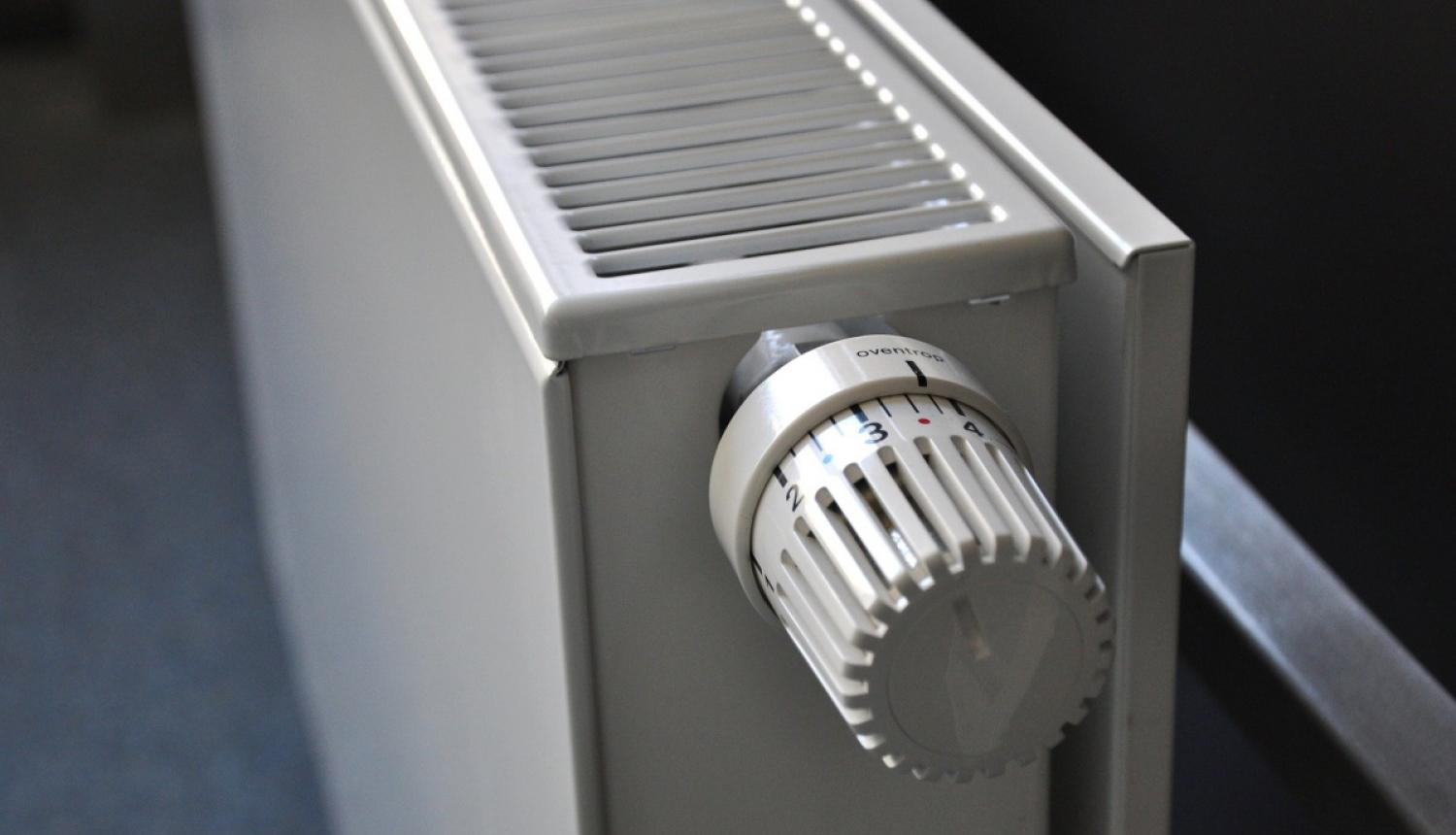 Ванцане назвала действия Latvenergo социально безответственными