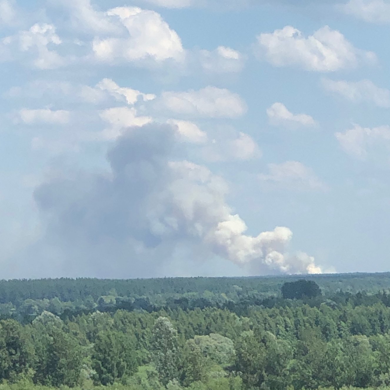 В Гаркалне горит лес. Площадь возгорания уточняется В Гаркалне горит лес. Площадь возгорания уточняется