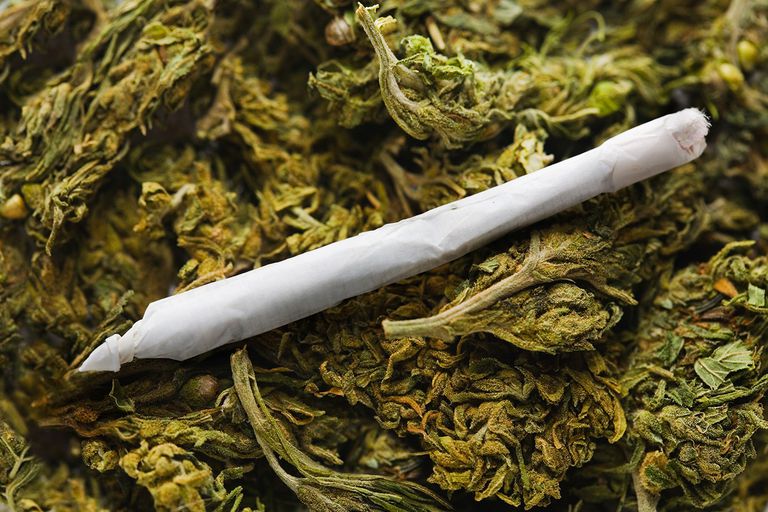 70% жителей считают, что марихуану нужно разрешить в медицинских целях 70% жителей считают, что марихуану нужно разрешить в медицинских целях