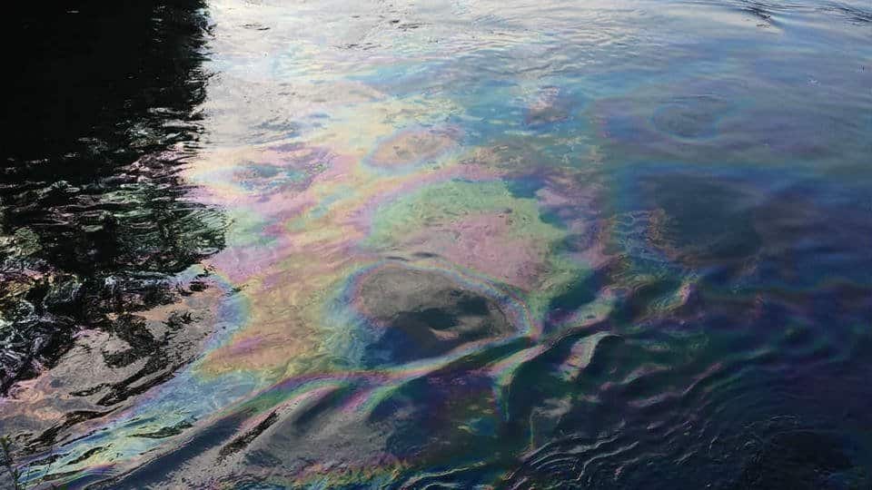 В Рижском канале констатированы нефтепродукты