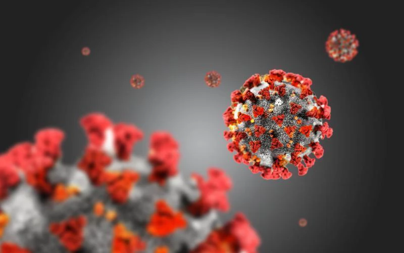 "Британский" штамм Covid-19 стал наиболее распространенным в США
