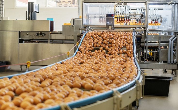 Господдержка производителей экопродуктов сокращается