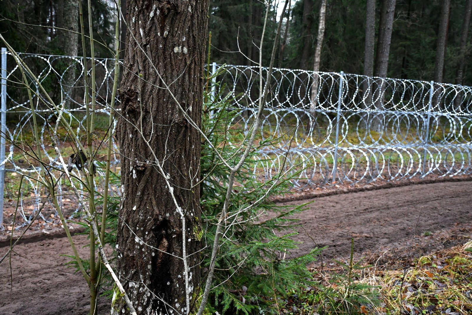 Латвия расторгнет соглашение с Беларусью о взаимных поездках граждан