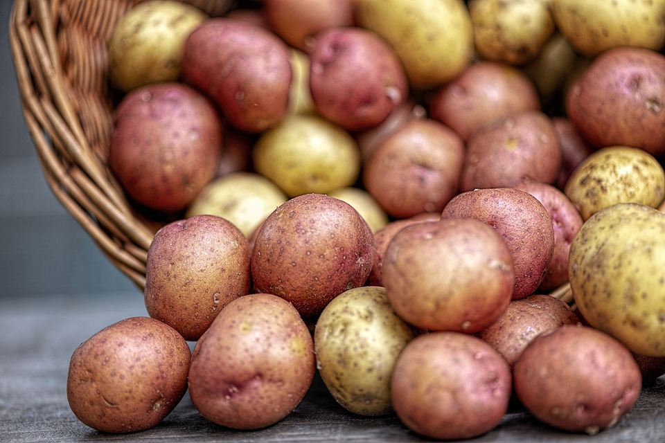 В какой балтийской столице самые дешевые продукты питания?