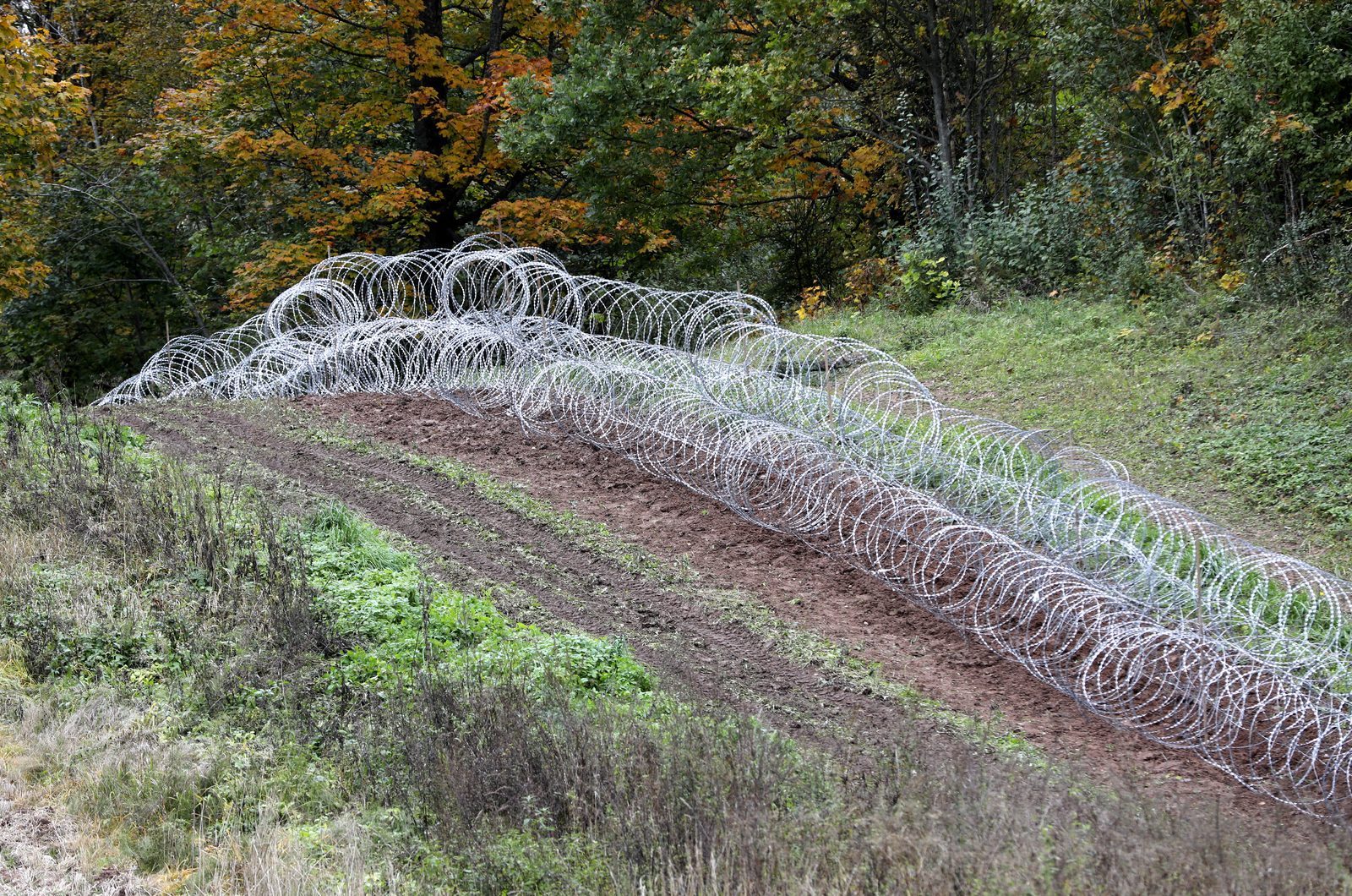 Кариньш: с ЕК обсуждается финансирование забора на границе Кариньш: с ЕК обсуждается финансирование забора на границе