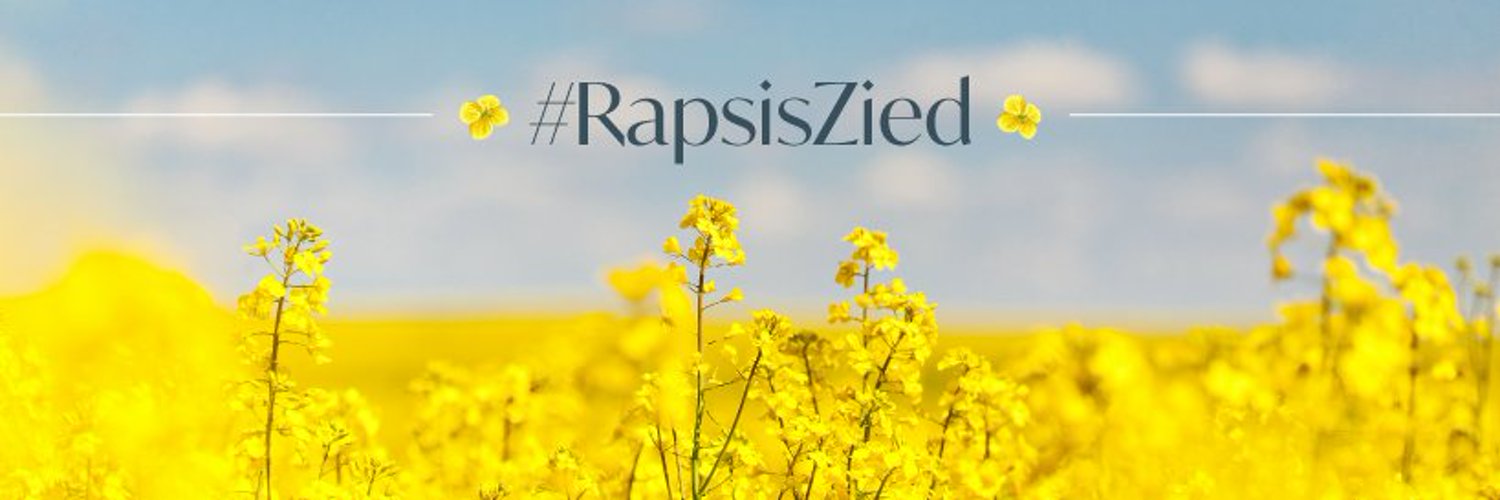 Где выращивают рапс для селфи Где выращивают рапс для селфи