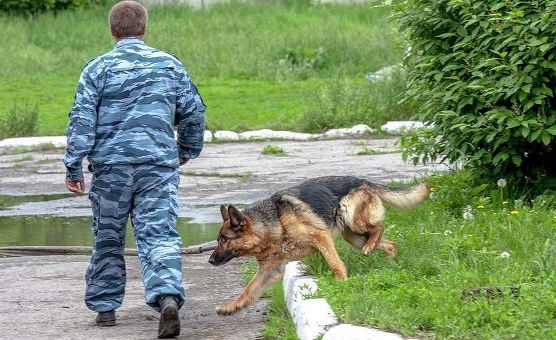 Полиция задержала мужчину за предоставление неверной информации родственникам пропавшей в Роговке девочки Полиция задержала мужчину за предоставление неверной информации родственникам пропавшей в Роговке девочки