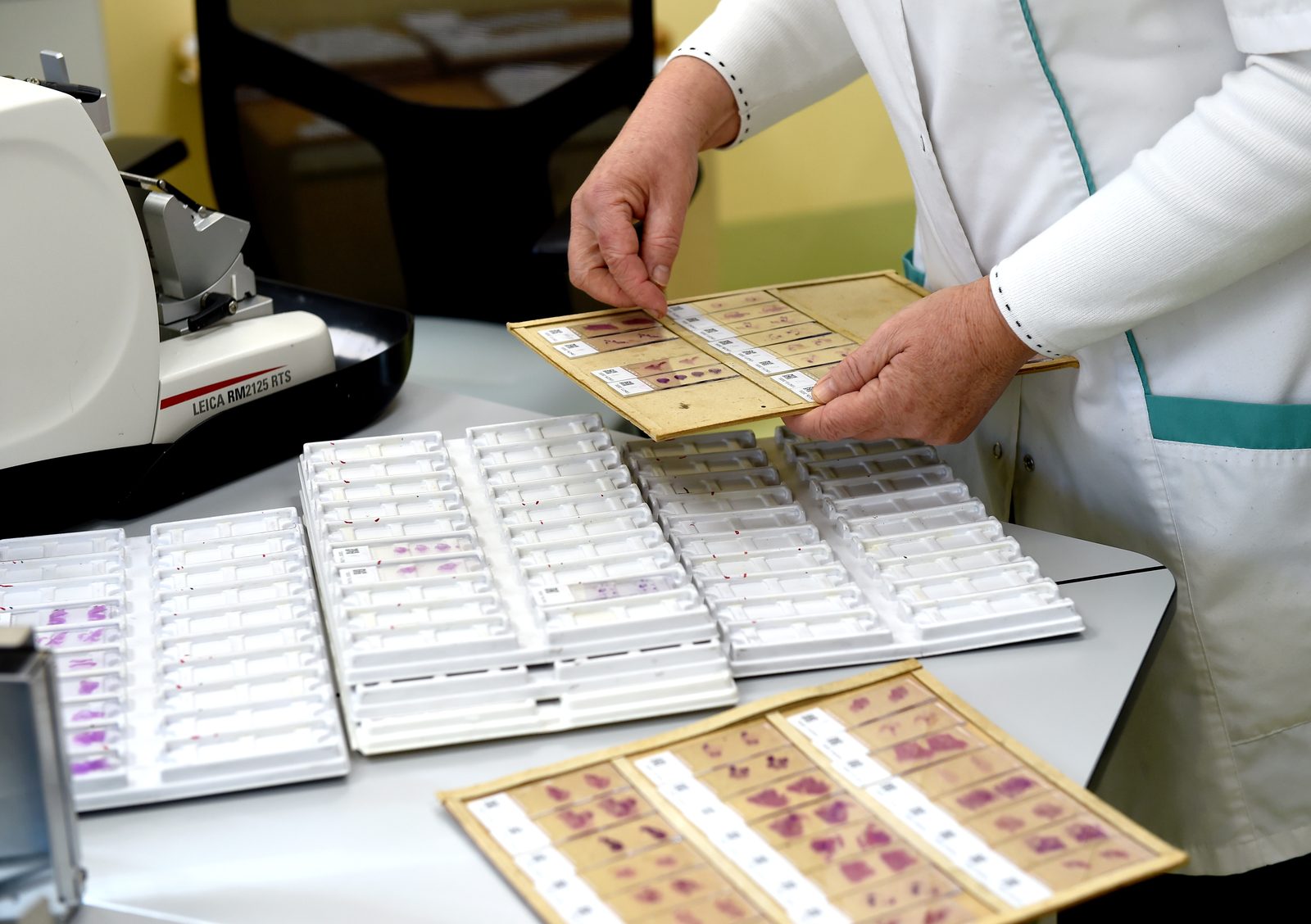 Piektdien atklāti 786 Covid-19 gadījumi un 11 sasirgušie miruši Piektdien atklāti 786 Covid-19 gadījumi un 11 sasirgušie miruši