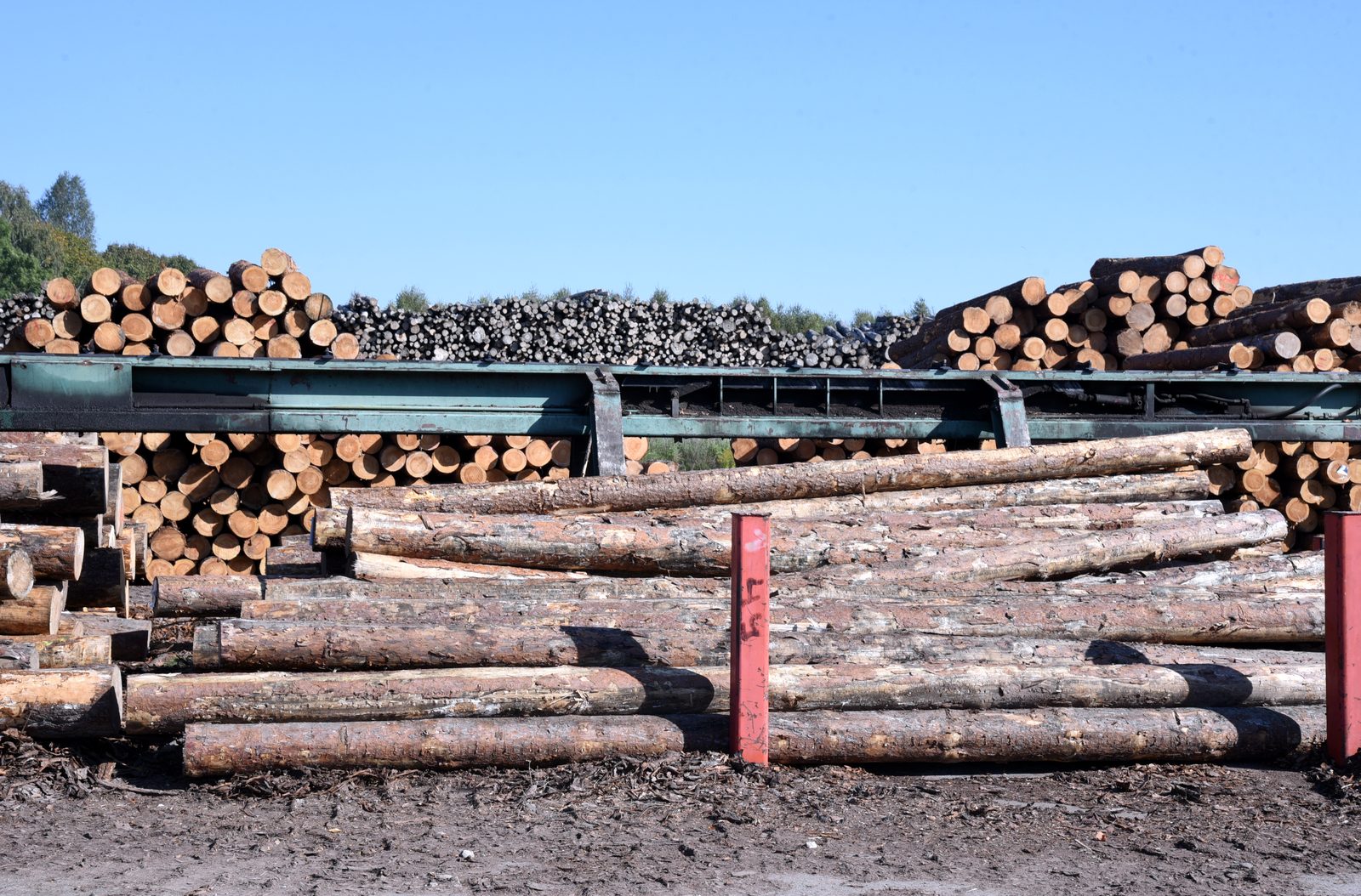 Kokmateriālu tirgotāja "Baltic Wood Trade" apgrozījums pērn saruka par 35,7% Kokmateriālu tirgotāja "Baltic Wood Trade" apgrozījums pērn saruka par 35,7%