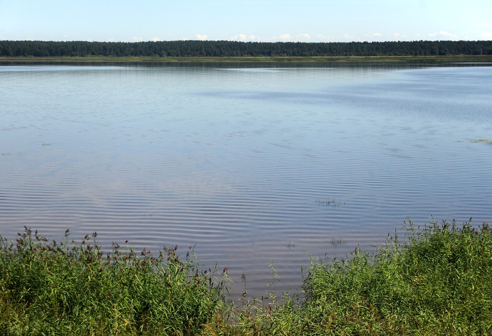 Вчера в водоемах найдены двое утонувших Вчера в водоемах найдены двое утонувших
