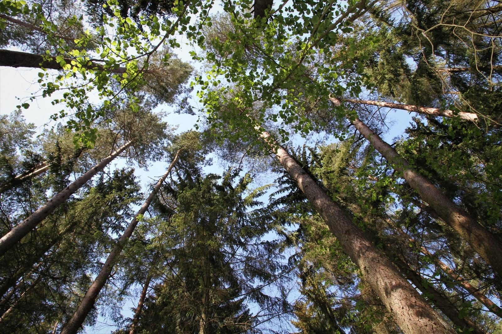 Как климатическая политика ЕС влияет на повседневную жизнь европейцев?